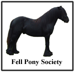 Fell Pony Society Link