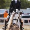 Ayla showing hunt seat at four years old with Taylor Bie