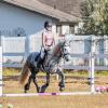 Ayla schooling over rails in an early off farm experience.