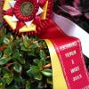 FPSNA PPA 2013, 2nd Place Ambassador Pony for Littletree Babysham