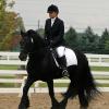 Bo competing at the Dressage Pony Cup with Melissa Kreuzer