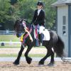 Littletree Born Supremacy, Gelding, foaled 2005
"Jason", Owned by Allison Wolff
Shown with awards won at
2013 Dressage Pony Cup
(C)Suzanne Fischer
AMERICA