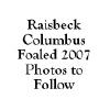 Raisbeck Columbus
Mare foaled 2007
Current owner J. Ellwood
ENGLAND