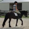 Patience as a 5 year old, being trained to ride.