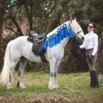 DreamHayven Avalon Mist
Grey mare, foaled 2013
SOLD to VA in 2020!